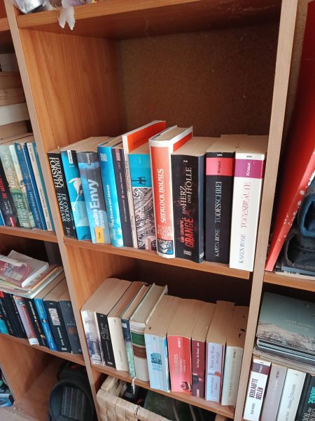 ¡Gratis! Cientos de libros en alemán (novelas y no ficción)