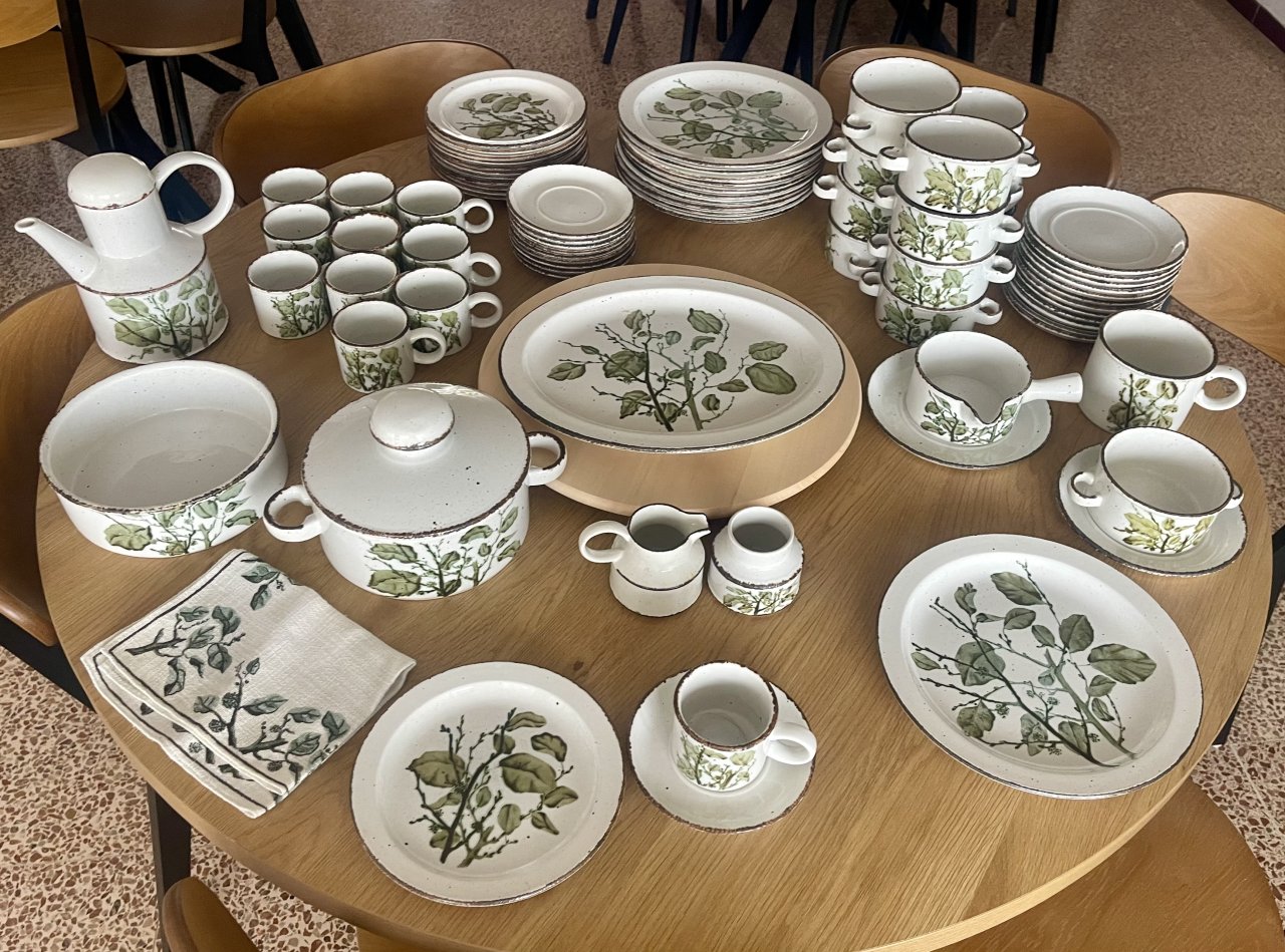 Geschirr Greenleaves Stonehenge Midwinter über 80 Teile Top Zustand