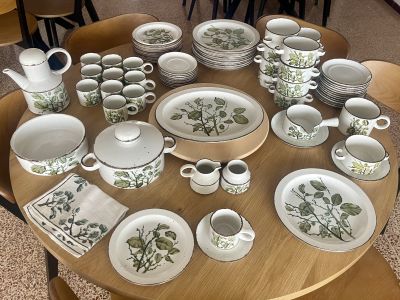 Geschirr Greenleaves Stonehenge Midwinter über 80 Teile Top Zustand