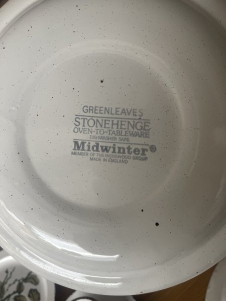 Geschirr Greenleaves Stonehenge Midwinter über 80 Teile Top Zustand