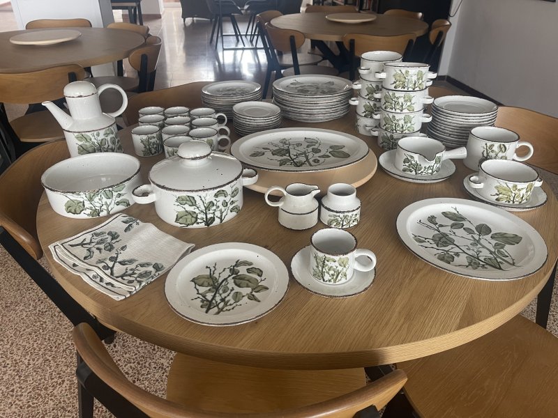 Geschirr Greenleaves Stonehenge Midwinter über 80 Teile Top Zustand