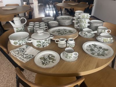 Geschirr Greenleaves Stonehenge Midwinter über 80 Teile Top Zustand