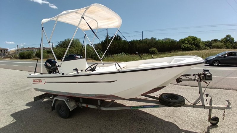 GFK boat 20 HP 4-stroke Suzuki with trailer · Fishing / Angler boat