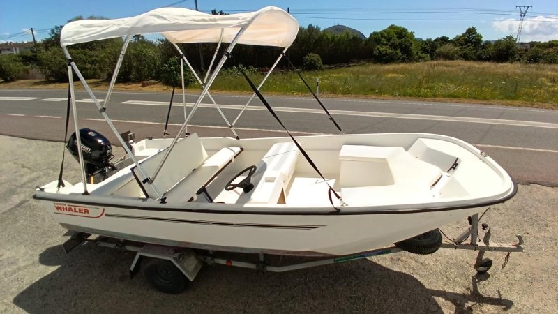 GFK boat 20 HP 4-stroke Suzuki with trailer · Fishing / Angler boat