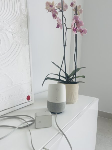 Google Home Smart Speaker Weiß/Grau- WLAN Google Assistant- voll funktionsfähig