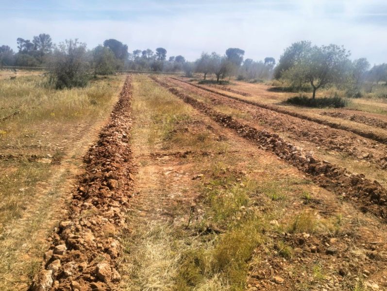 Gräben für Oliven-, Wein-, Obst-, Johannisbrot- und Mandelplantagen usw.