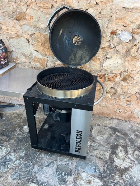 Napoleon grill
