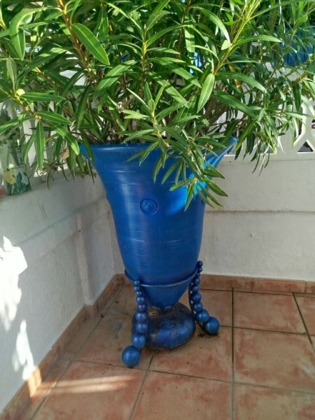 Large amphora planted with oleander and yucca palm