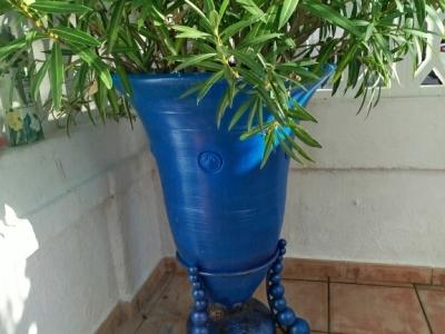 Large amphora planted with oleander and yucca palm