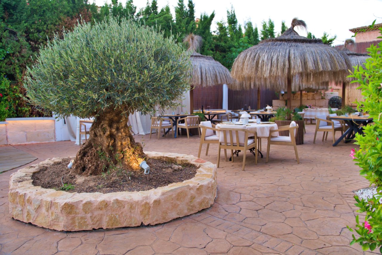 GRAN OPORTUNIDAD DE INVERSIÓN EN MALLORCA RESTAURANTE MODERNIZADO Y TOTALMENTE EQUIPADO