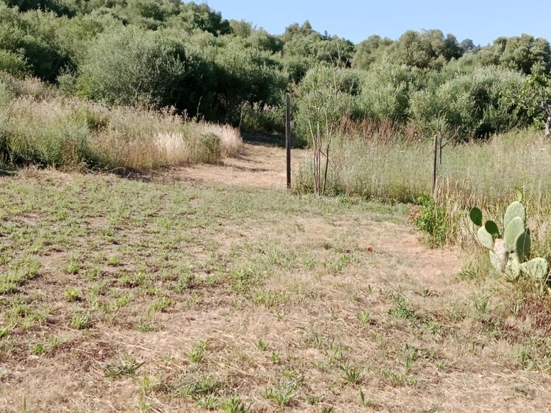 Große rustikale Finca mit Haus in Petra