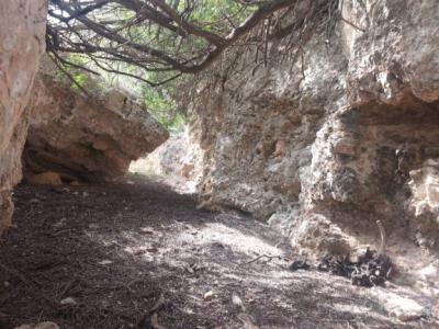 Große rustikale Finca mit Haus in Petra