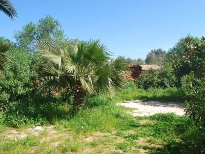 Large apartment with garden, terrace and garage in Santanyi --- AP 149