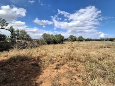 Large plot with Cedula Urbanistica near Campos - Santanyi - Cas Concos - T 14