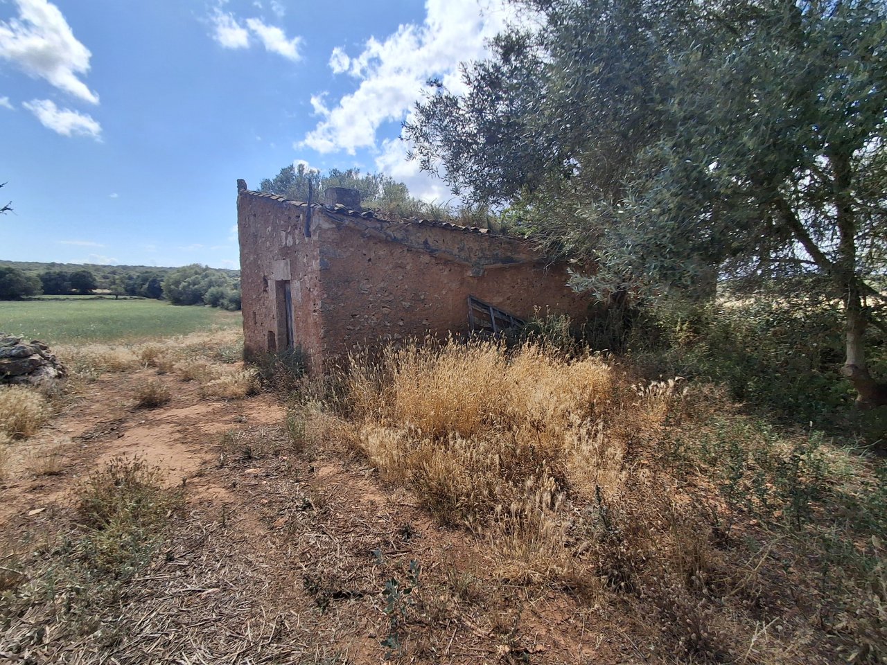 Large plot with Cedula Urbanistica near Campos - Santanyi - Cas Concos - T 14