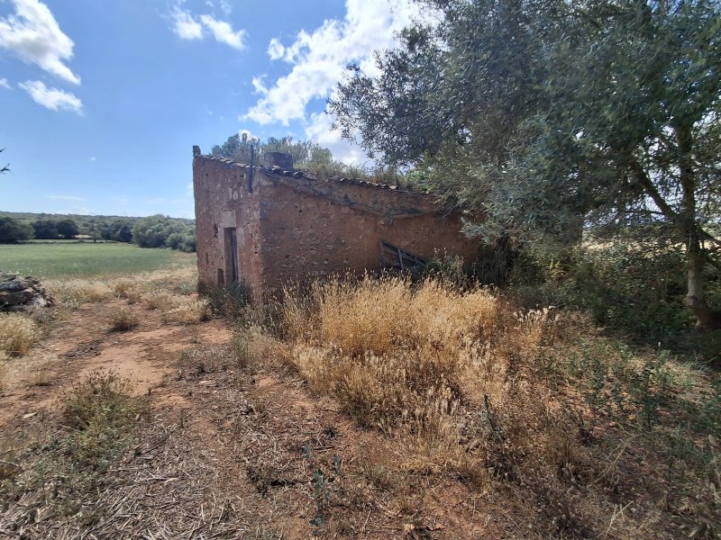 Large plot with Cedula Urbanistica near Campos - Santanyi - Cas Concos - T 14