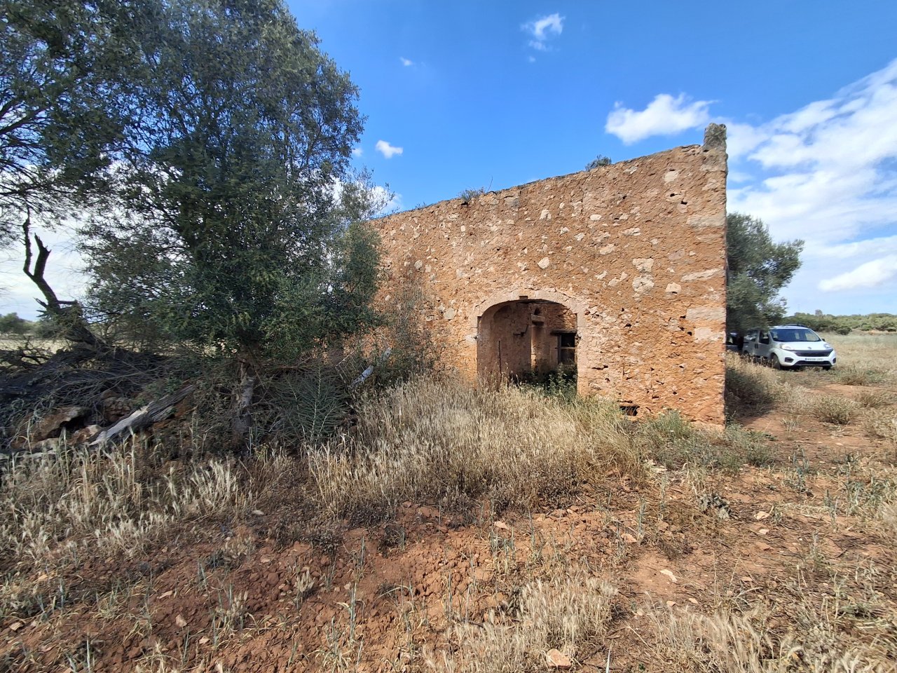 Large plot with Cedula Urbanistica near Campos - Santanyi - Cas Concos - T 14