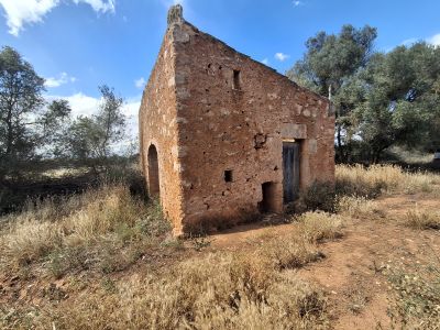 Large plot with Cedula Urbanistica near Campos - Santanyi - Cas Concos - T 14