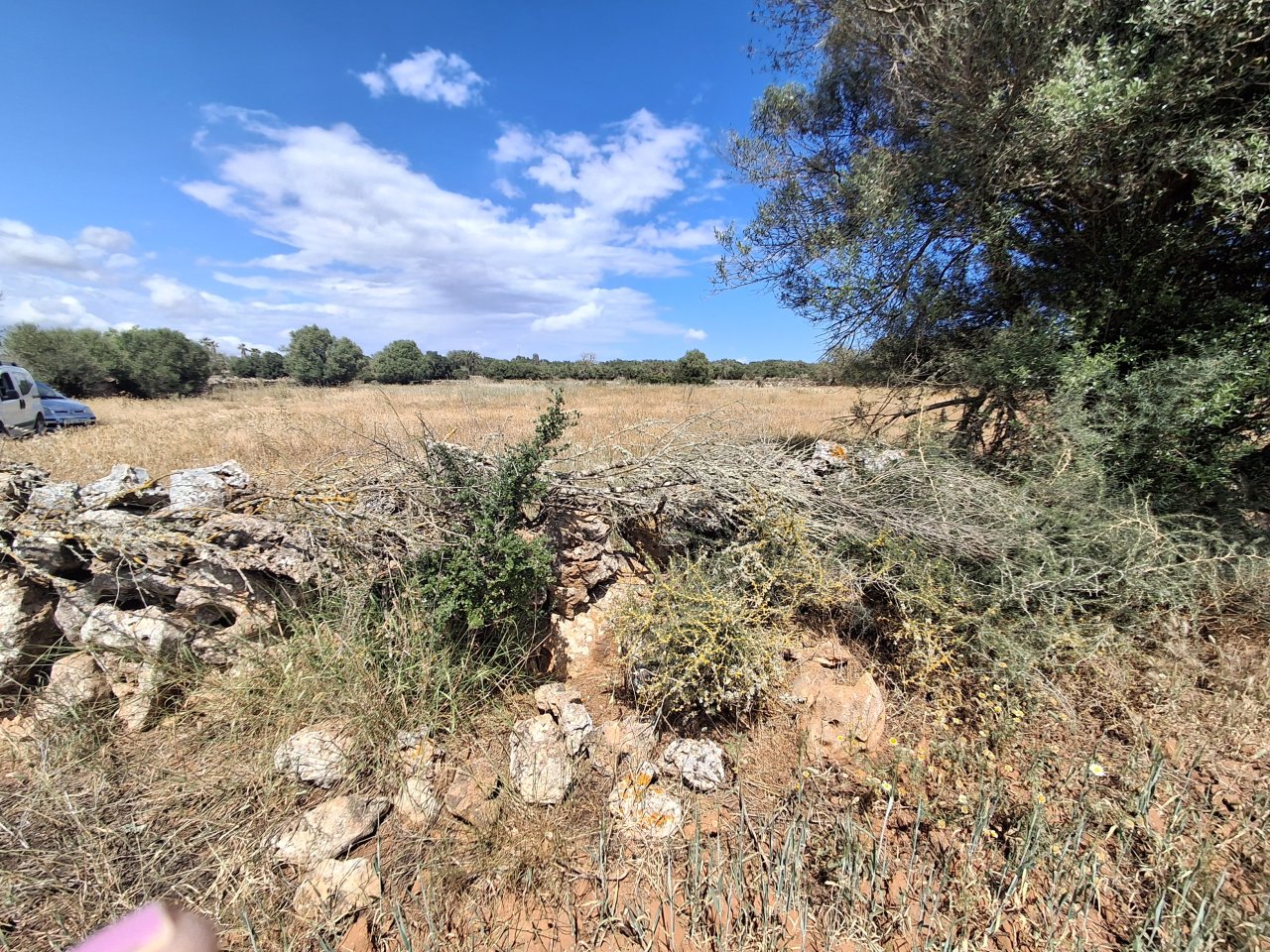 Large plot with Cedula Urbanistica near Campos - Santanyi - Cas Concos - T 14