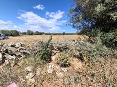 Large plot with Cedula Urbanistica near Campos - Santanyi - Cas Concos - T 14