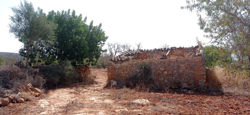 Grosses Grundstück zwischen Cas Concos und Santanyi --- T 22 CM