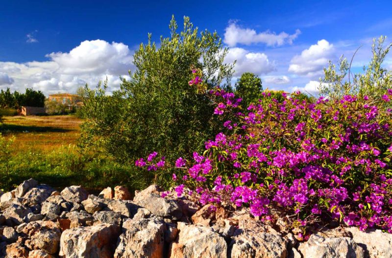 large bright room, furnished, small kitchenette, shower room, WLAN, garden share, balcony, pool.