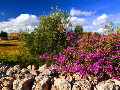 large bright room, furnished, small kitchenette, shower room, WLAN, garden share, balcony, pool.