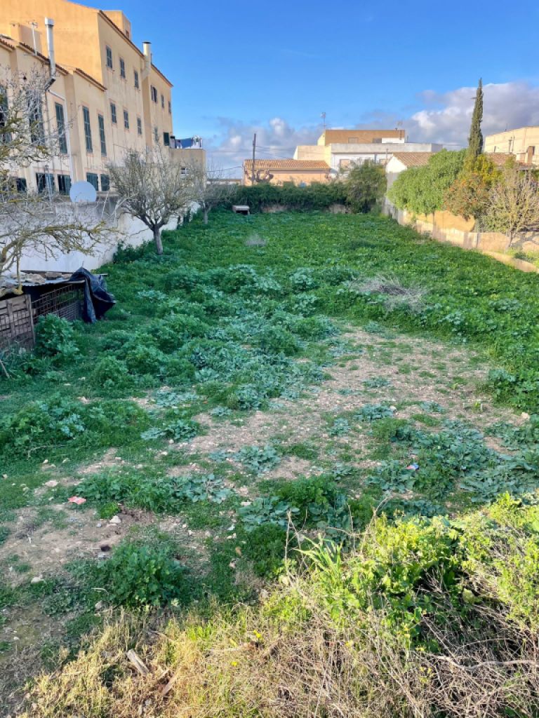 Large urban plot with 2 entrances in Cas Concos -- S 03 VK