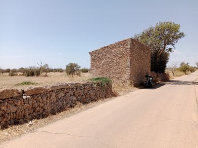 Parcela edificable en Es Revellar cerca de Campos