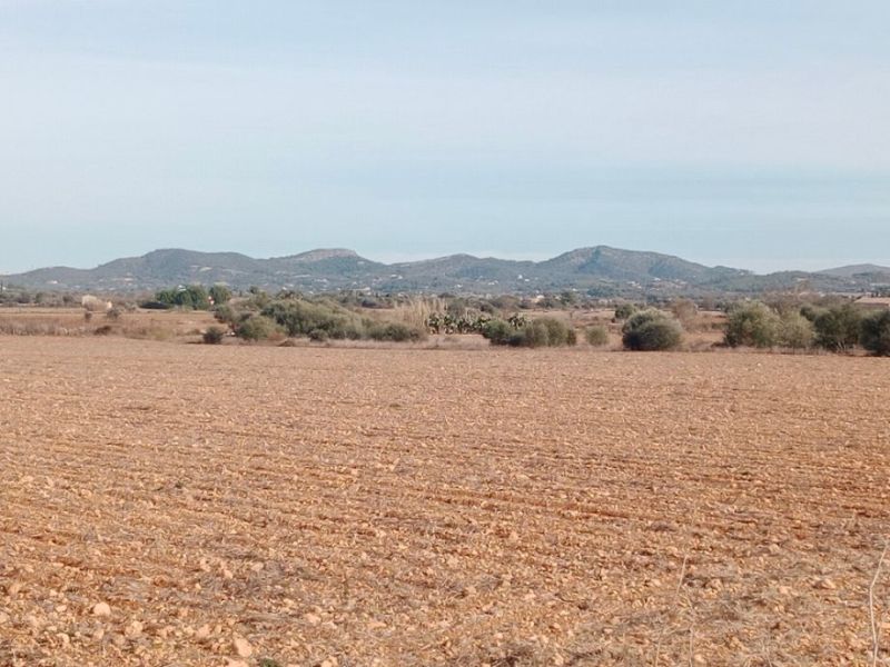 Grundstück in Son Valls mit genehmigtem Basisprojekt