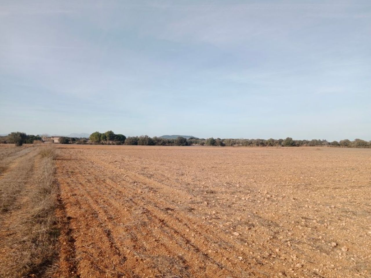 Grundstück in Son Valls mit genehmigtem Basisprojekt