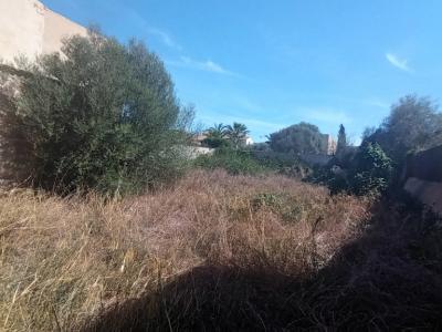 Plot in a central location with a large storage room in Es LLombards --- S 13