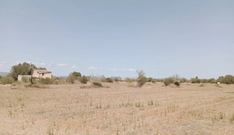 Grundstück mit Panoramablick und genehmigtem Projekt in Campos