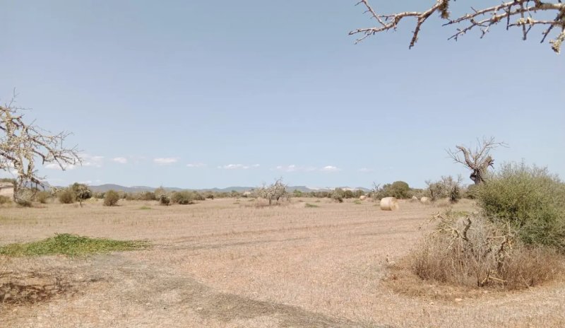 Grundstück mit Panoramablick und genehmigtem Projekt in Campos