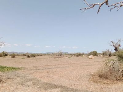 Grundstück mit Panoramablick und genehmigtem Projekt in Campos