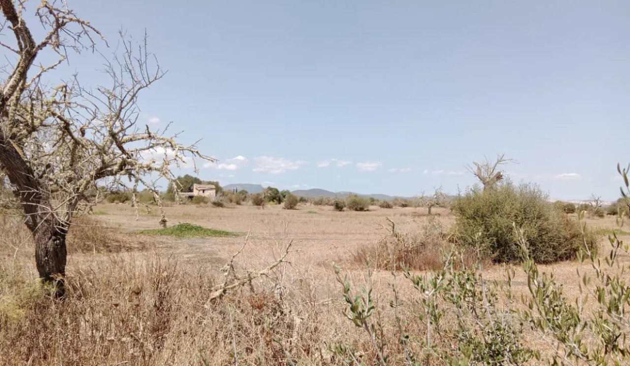 Grundstück mit Panoramablick und genehmigtem Projekt in Campos