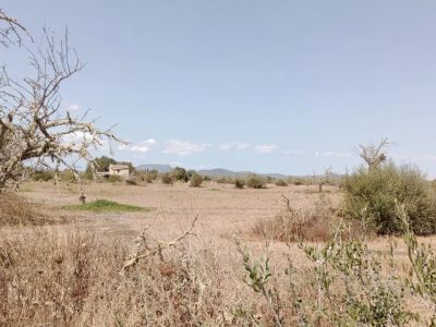 Grundstück mit Panoramablick und genehmigtem Projekt in Campos