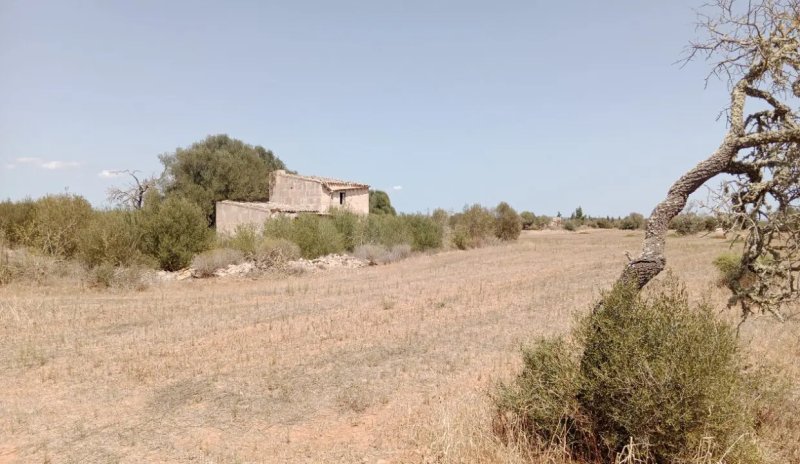 Grundstück mit Panoramablick und genehmigtem Projekt in Campos