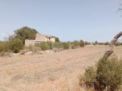 Grundstück mit Panoramablick und genehmigtem Projekt in Campos