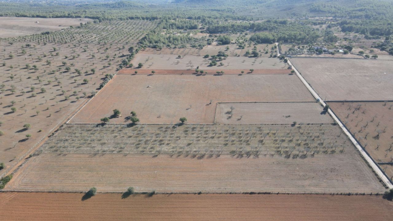 Grundstück zu verkaufen in Disseminatado Primera Volta