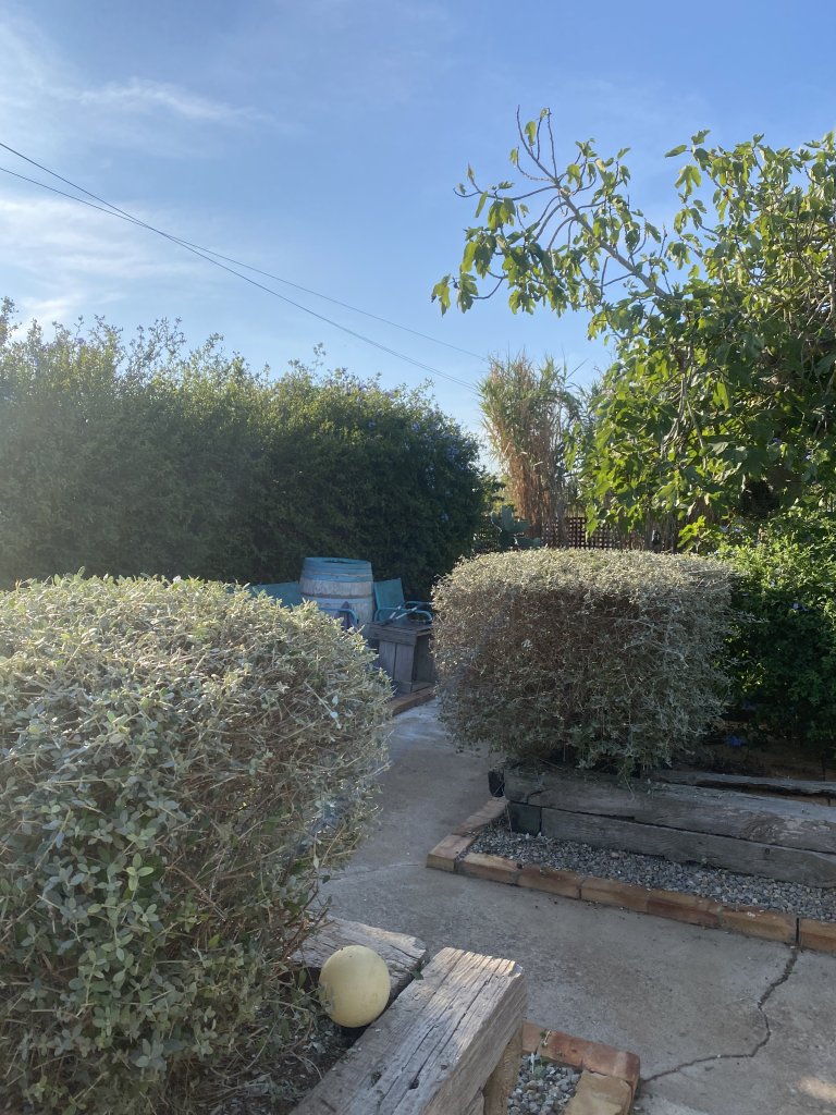 Landscaping and finca maintenance
