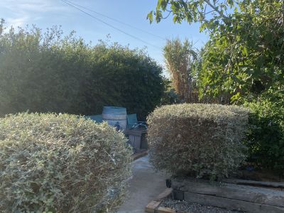 Landscaping and finca maintenance