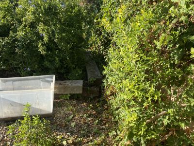 Landscaping and finca maintenance