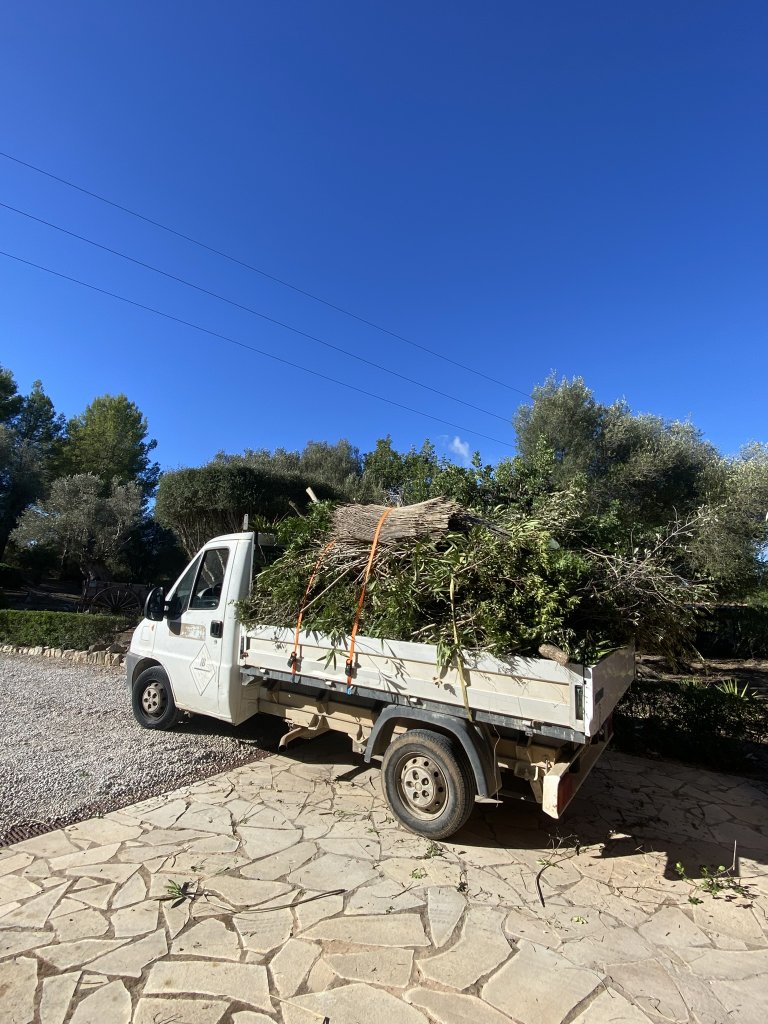 Landscaping and finca maintenance