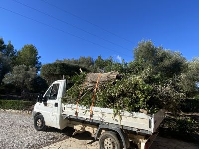 Landscaping and finca maintenance