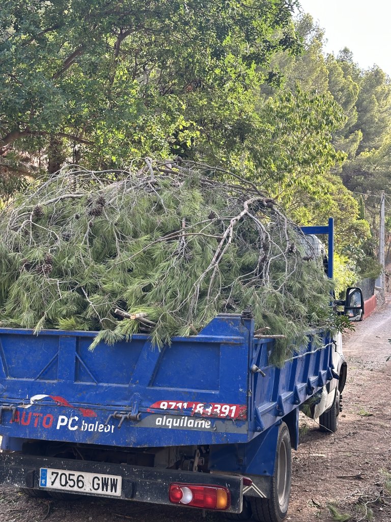 Landscaping and finca maintenance