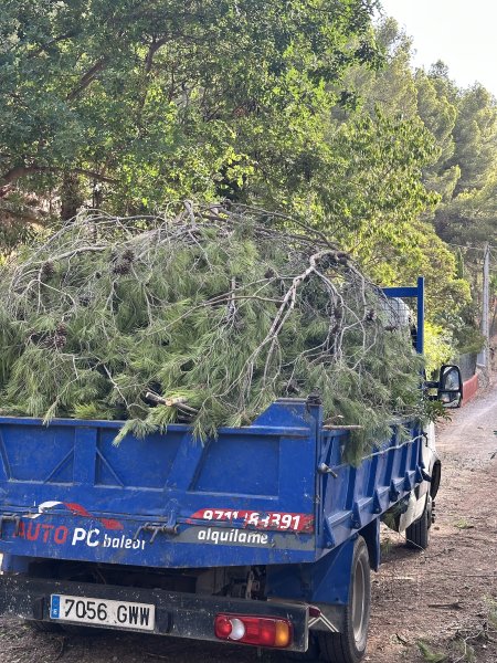 Landscaping and finca maintenance
