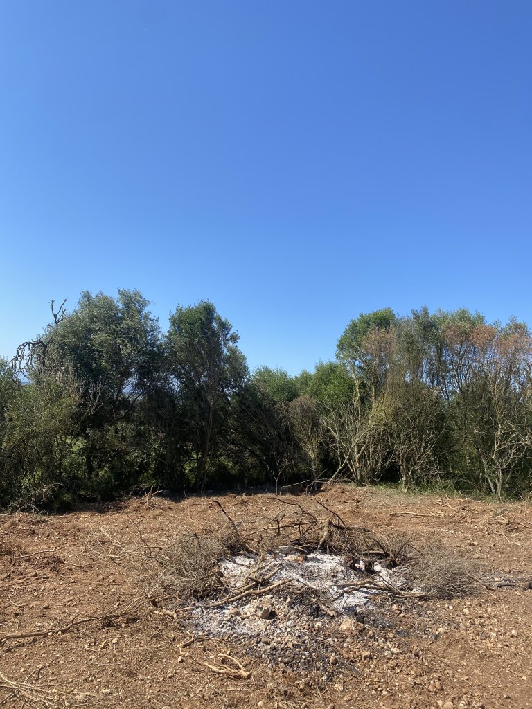 Landscaping and finca maintenance
