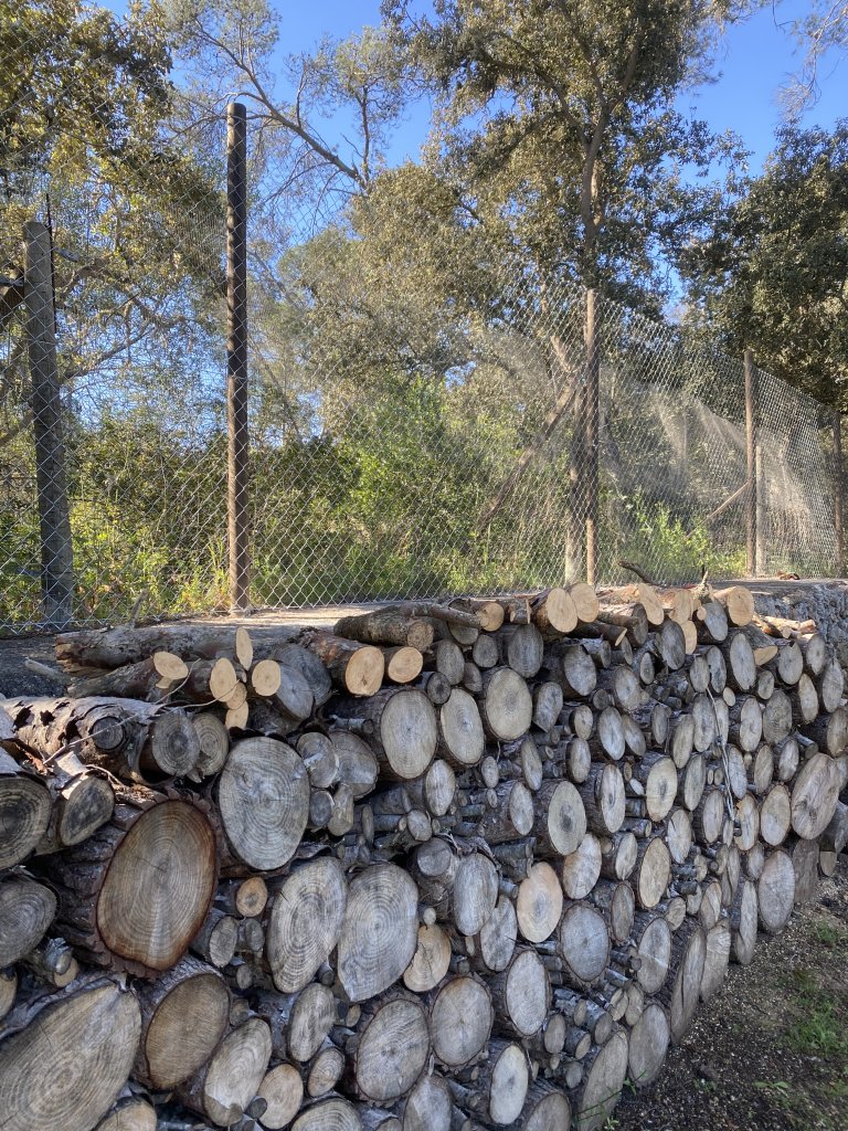 Landscaping and finca maintenance