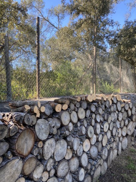 Landscaping and finca maintenance